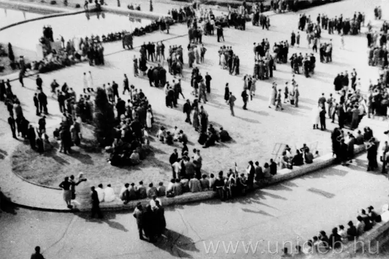 crowd2