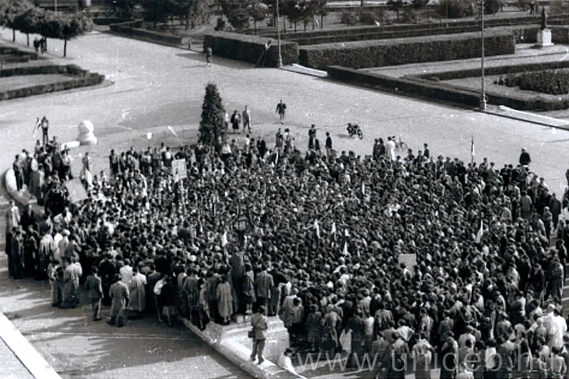 crowd1