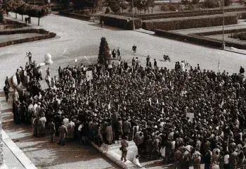 1956