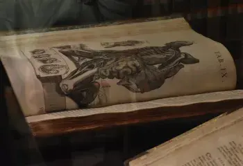 ké